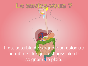 Soigner son estomac en 5 règles à suivre